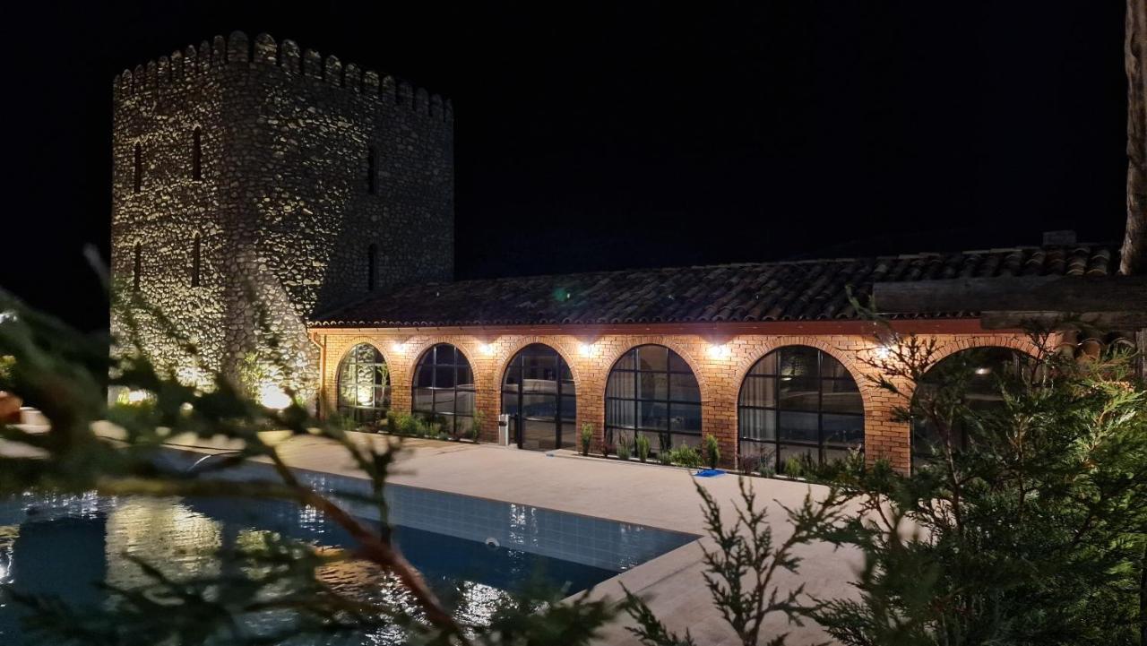Giorgi Ushikishvilis Chateau-Marani Akhmeta 외부 사진