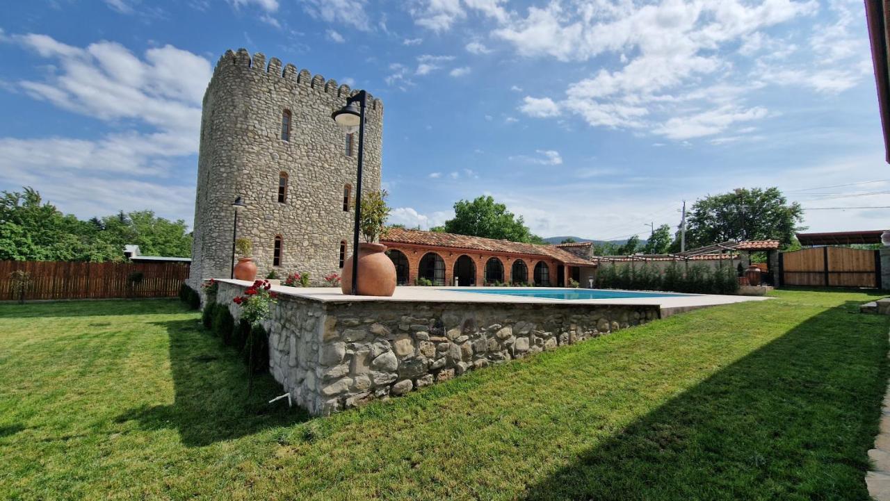 Giorgi Ushikishvilis Chateau-Marani Akhmeta 외부 사진