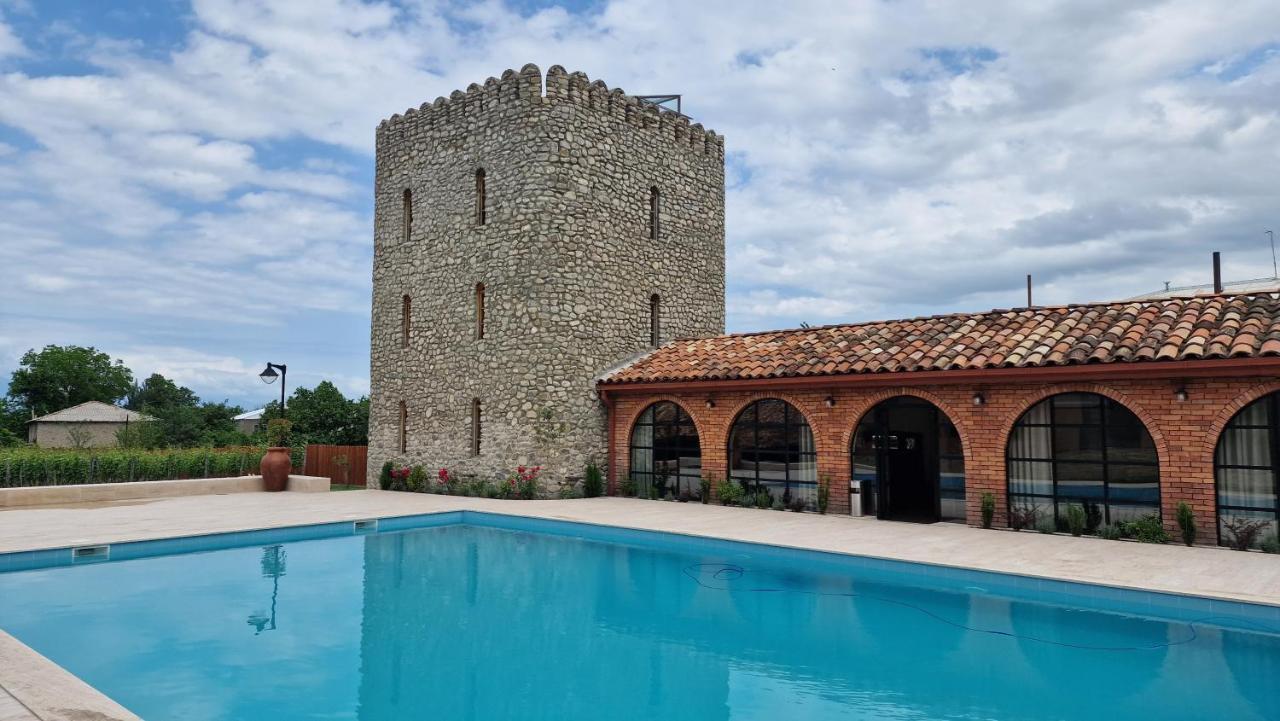 Giorgi Ushikishvilis Chateau-Marani Akhmeta 외부 사진