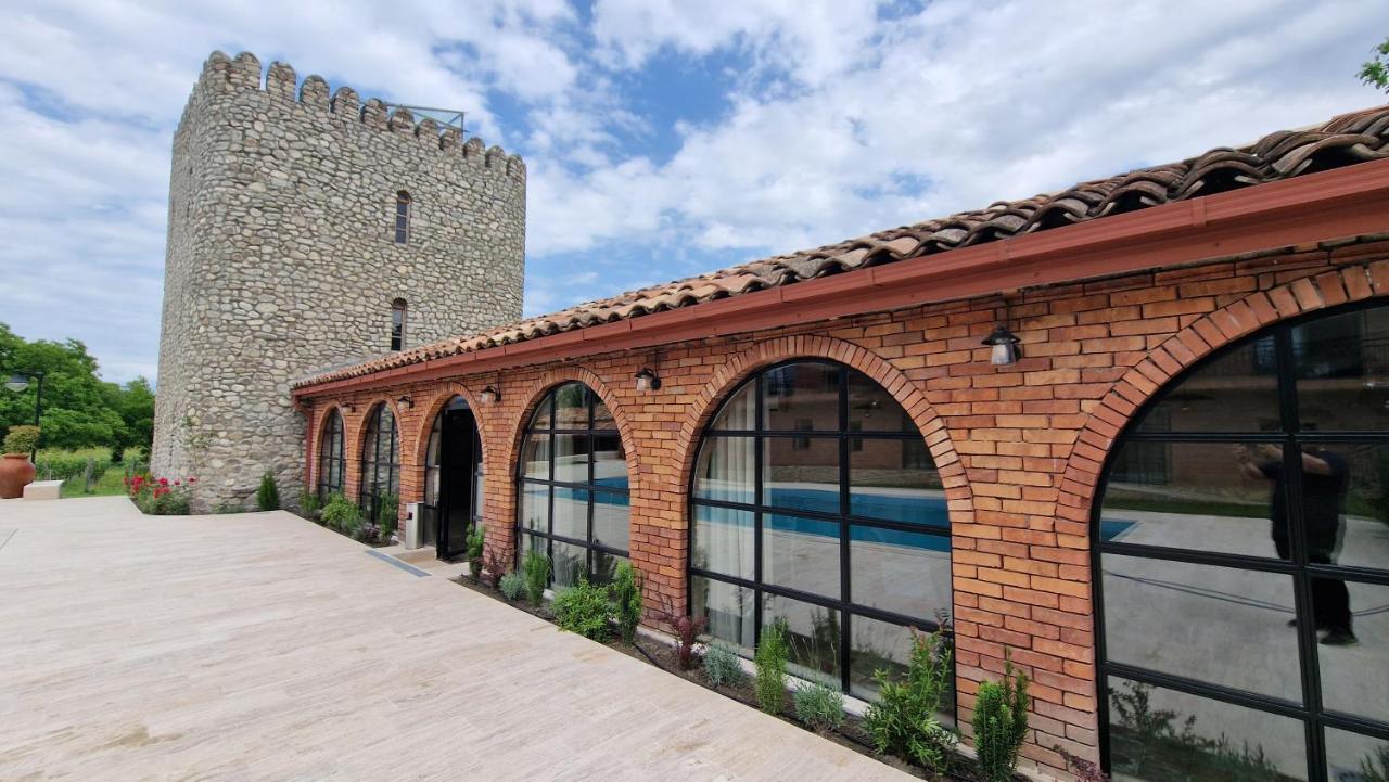 Giorgi Ushikishvilis Chateau-Marani Akhmeta 외부 사진