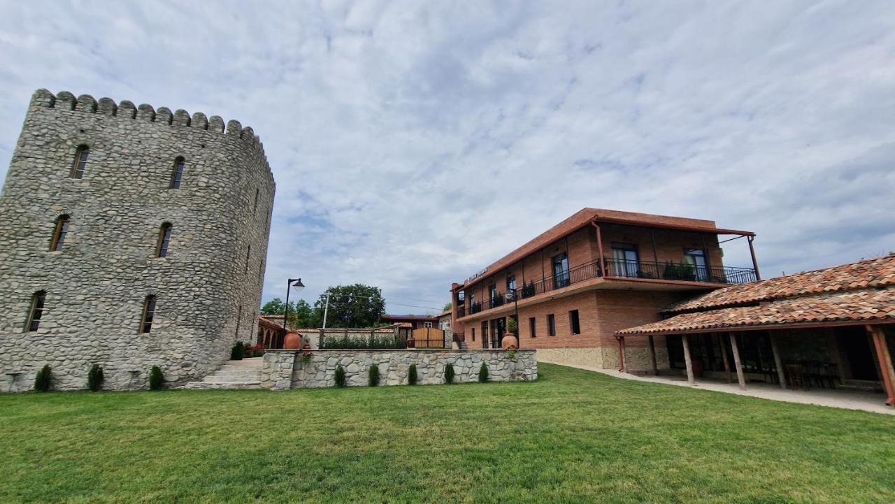 Giorgi Ushikishvilis Chateau-Marani Akhmeta 외부 사진